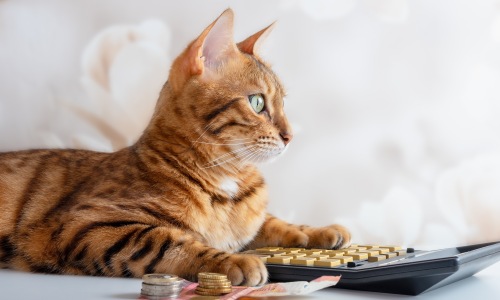 Pet Fees, Rent & Requirements Cover Image